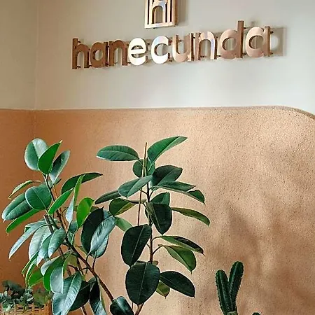 Hotel Hane Cunda Ayvalı